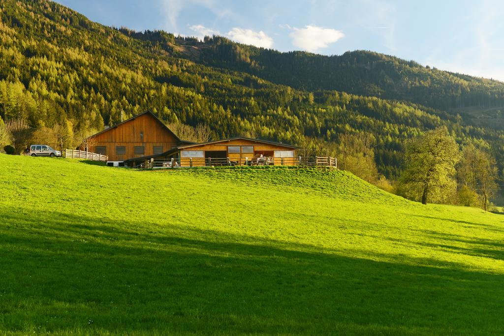 Villa Huettstaedterhof Familie Poetsch à Aigen im Ennstal Extérieur photo
