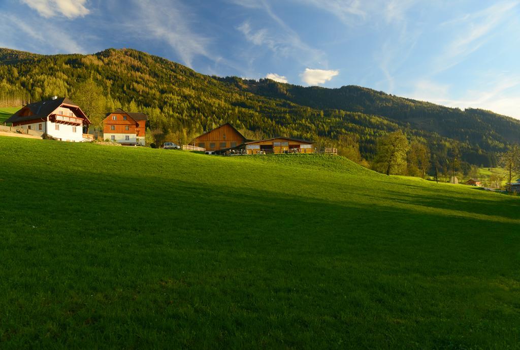 Villa Huettstaedterhof Familie Poetsch à Aigen im Ennstal Extérieur photo