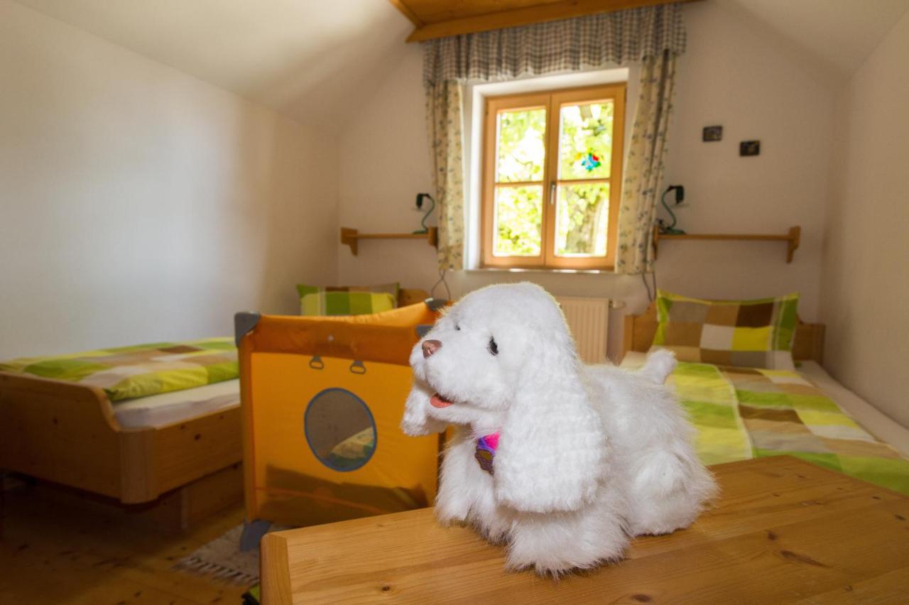 Villa Huettstaedterhof Familie Poetsch à Aigen im Ennstal Chambre photo